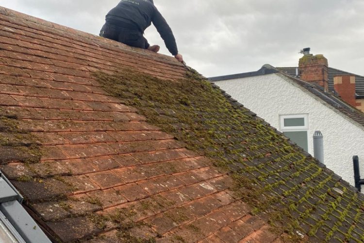 SAMS - Oxford Roof Cleaning and Treatment Company